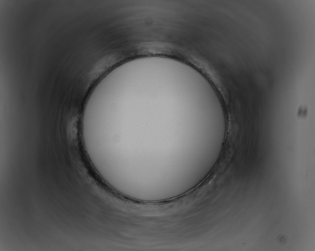 X0000101190010200807181522
