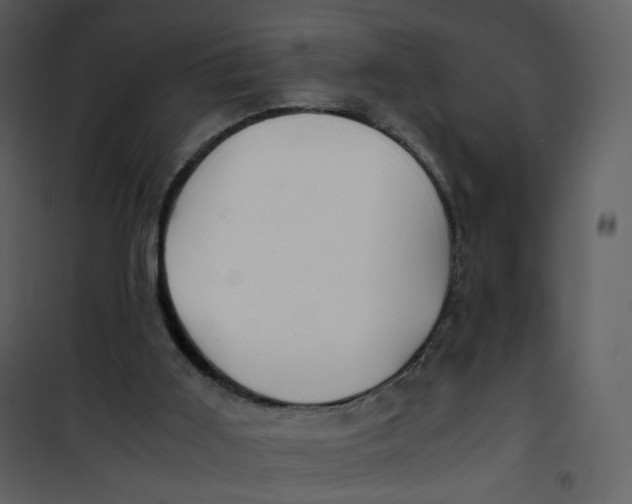 X0000101190011200807181522