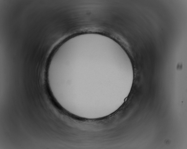X0000101190012200807181522