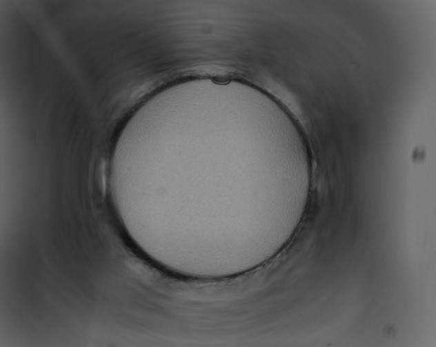 X0000101190013200807181522
