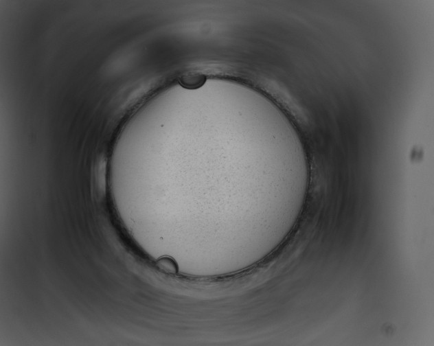 X0000101190014200807181522