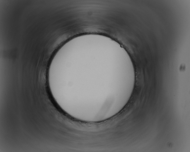 X0000101190015200807181521