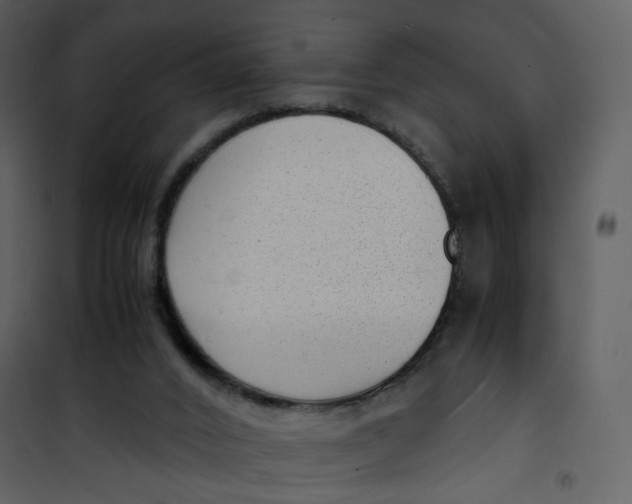 X0000101190016200807181521