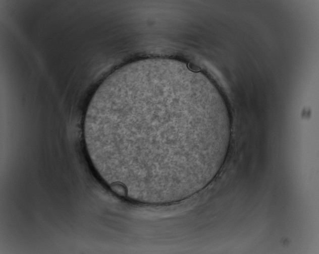 X0000101190017200807181521