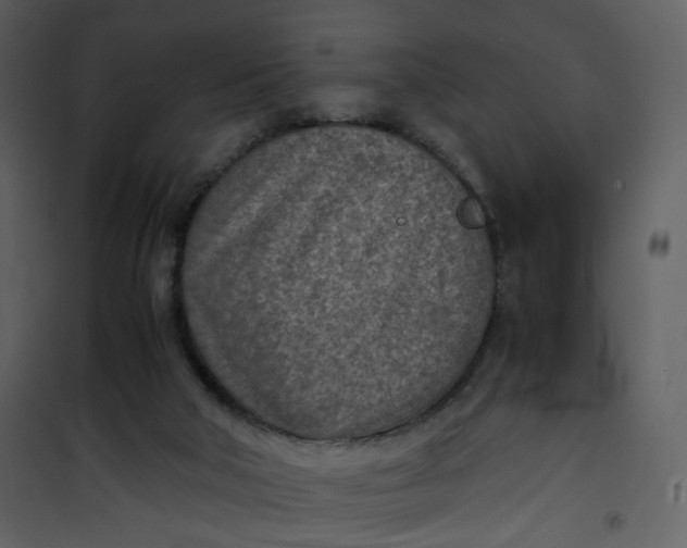 X0000101190018200807181521