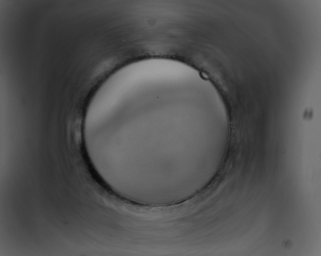 X0000101190019200807181521