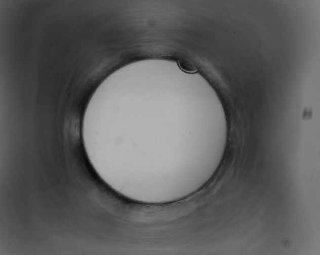 X0000101190021200807181521