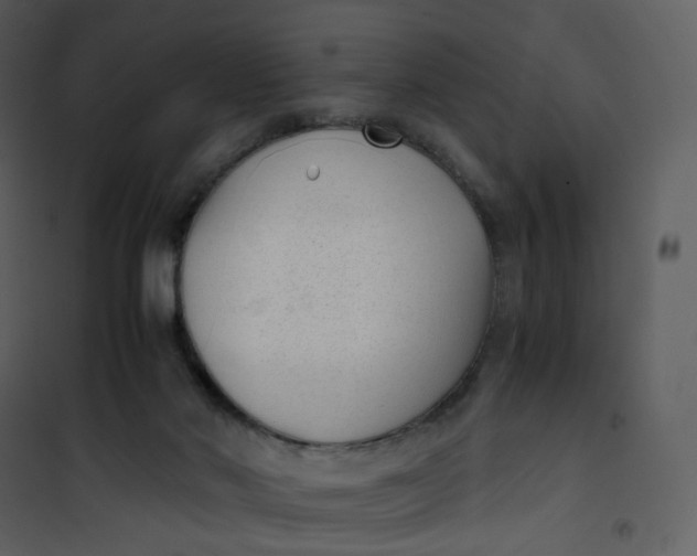 X0000101190022200807181521