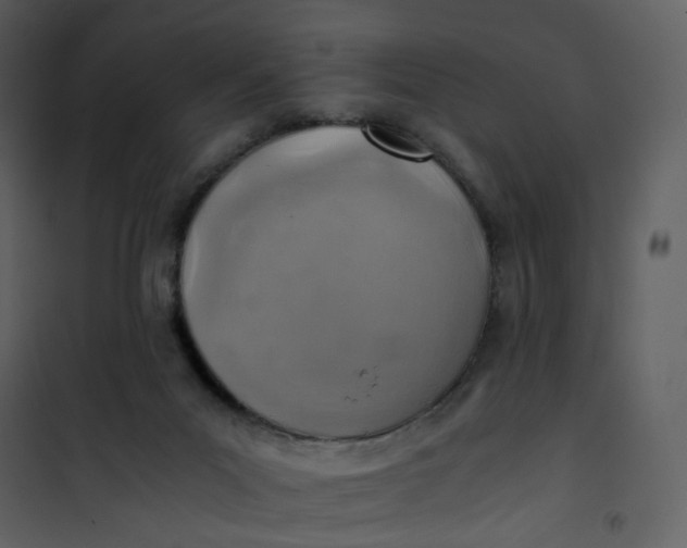 X0000101190023200807181521