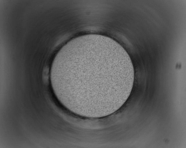 X0000101190024200807181521