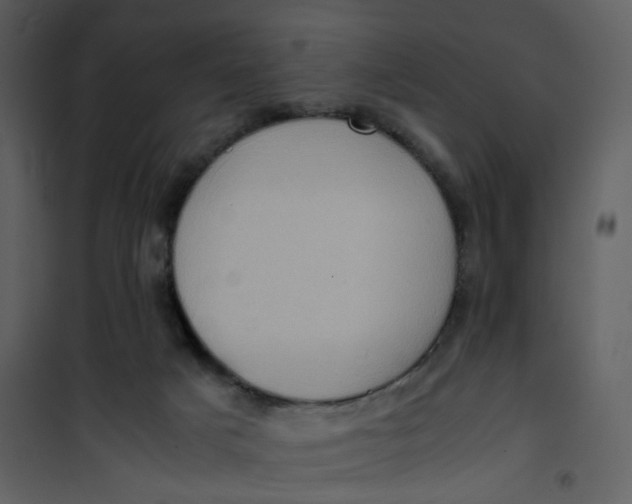 X0000101190025200807181521