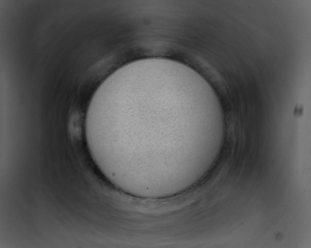 X0000101190026200807181521