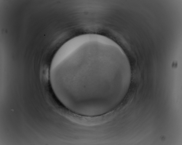 X0000101190027200807181521