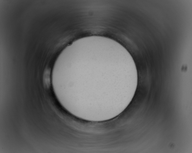X0000101190028200807181521