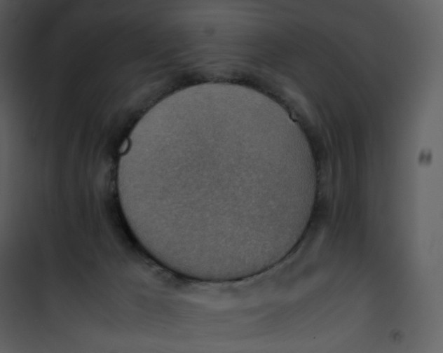 X0000101190029200807181521