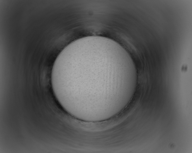 X0000101190030200807181521
