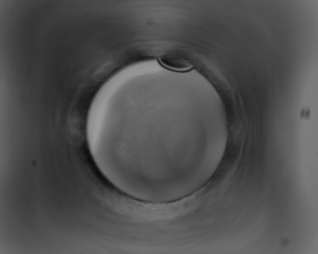 X0000101190031200807181521