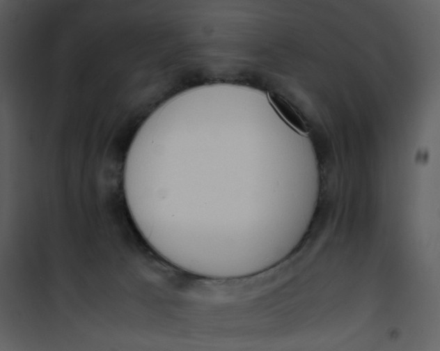 X0000101190033200807181521