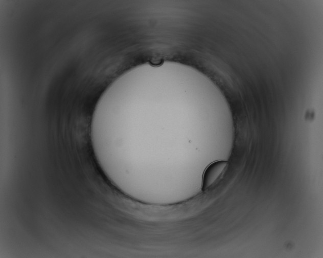 X0000101190034200807181521