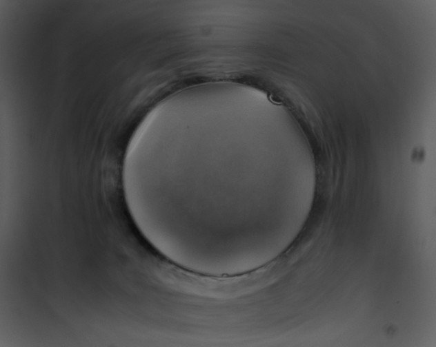 X0000101190035200807181521