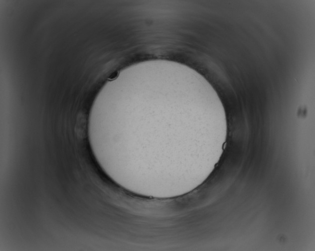 X0000101190036200807181521