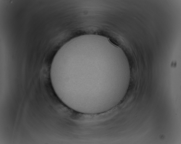 X0000101190037200807181521