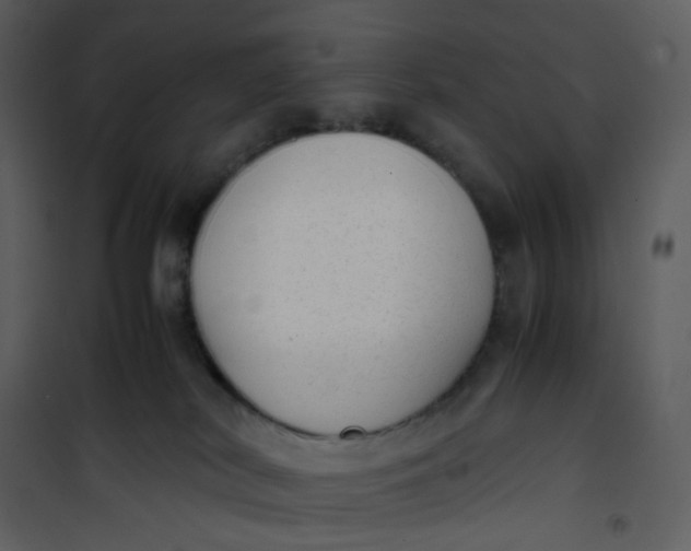 X0000101190038200807181521