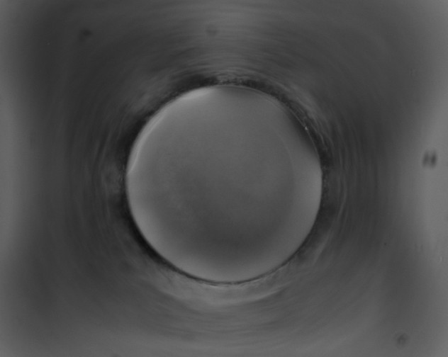 X0000101190039200807181521