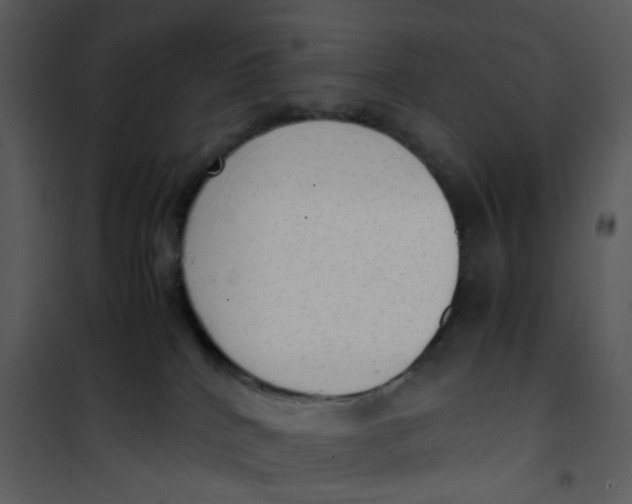 X0000101190040200807181521