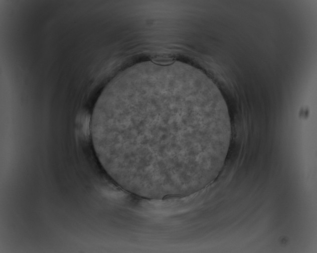 X0000101190041200807181521