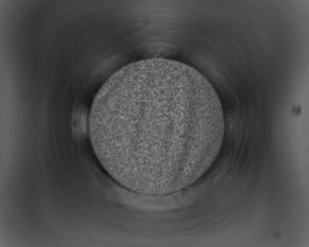 X0000101190042200807181521