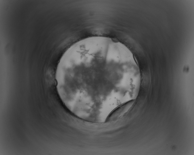 X0000101190043200807181521