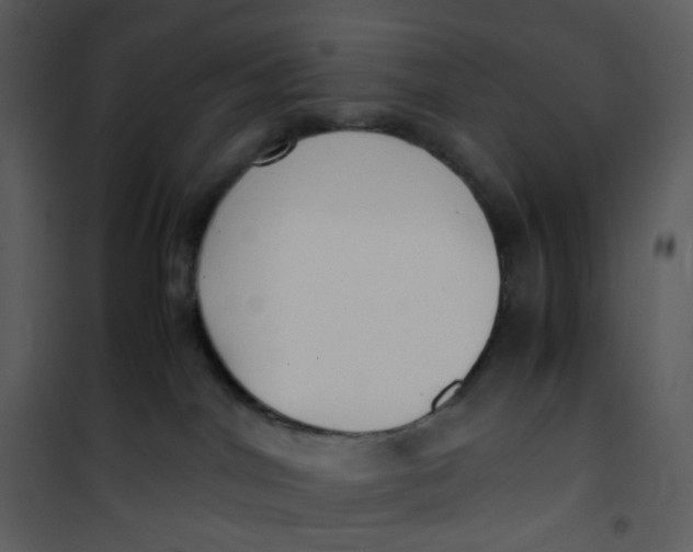 X0000101190044200807181521