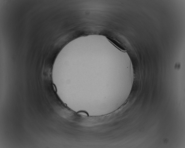 X0000101190045200807181521