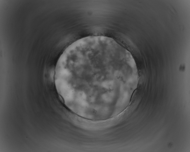 X0000101190047200807181521
