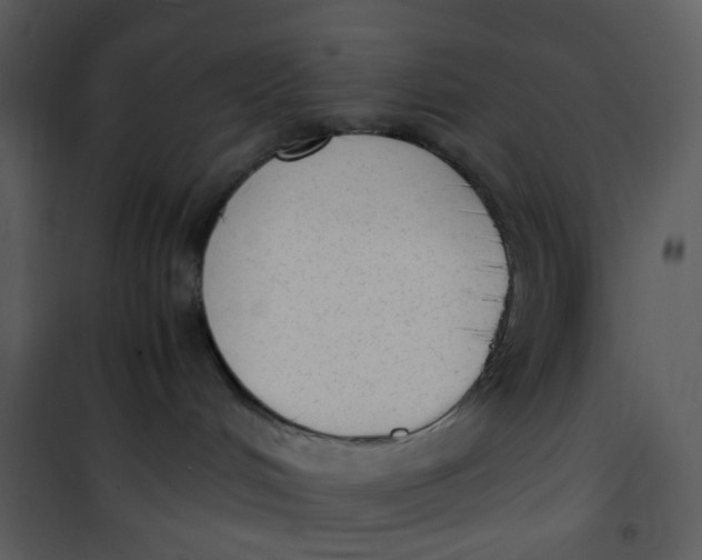 X0000101190048200807181521