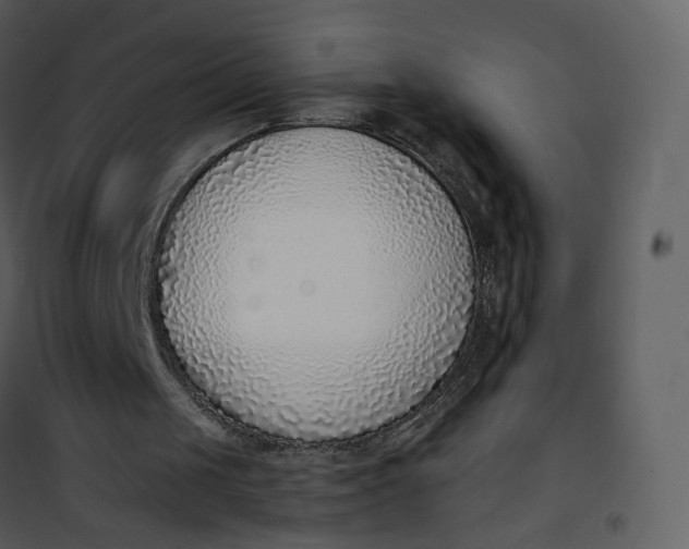 X0000101190049200807181520