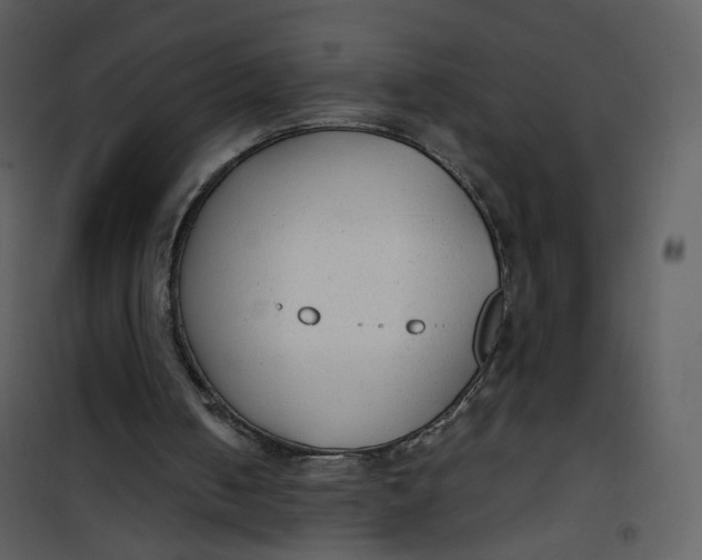 X0000101190050200807181520