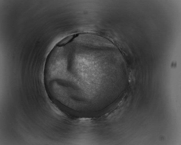 X0000101190052200807181520