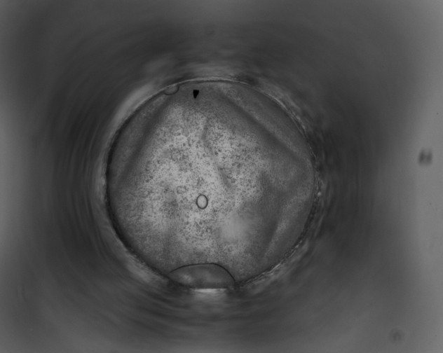 X0000101190053200807181520