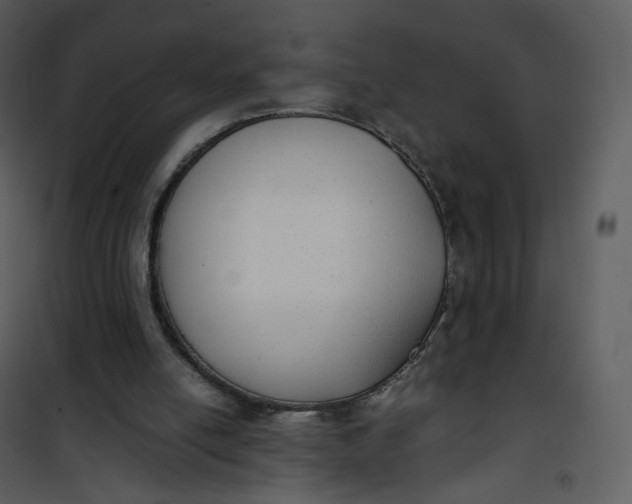 X0000101190054200807181520