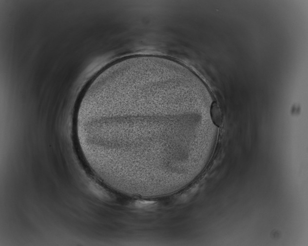 X0000101190055200807181520