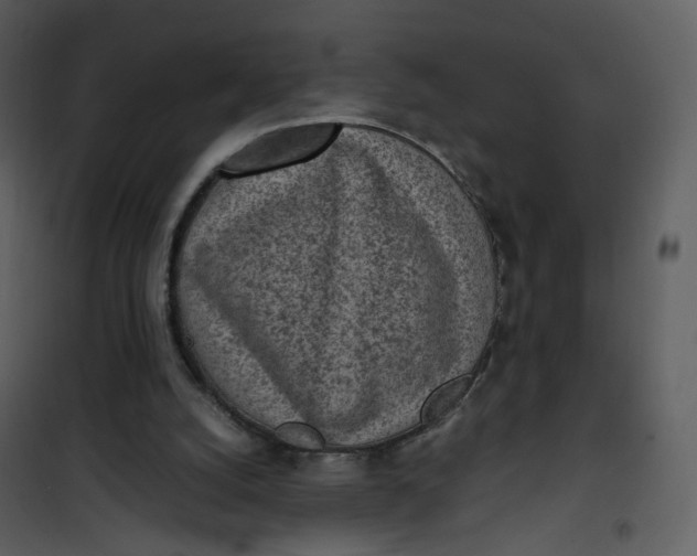 X0000101190056200807181520