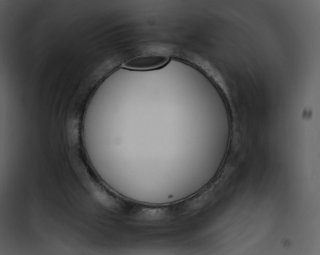 X0000101190057200807181520