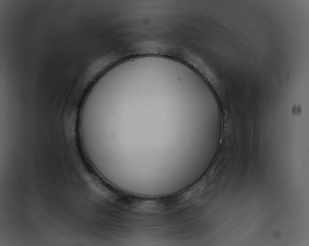 X0000101190058200807181520