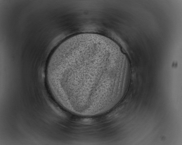 X0000101190059200807181520