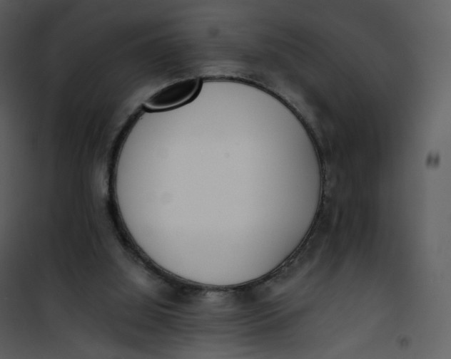 X0000101190060200807181521