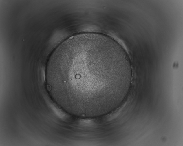X0000101190061200807181521