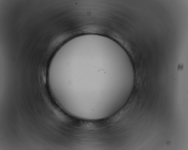 X0000101190062200807181521