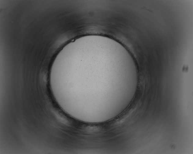 X0000101190063200807181521